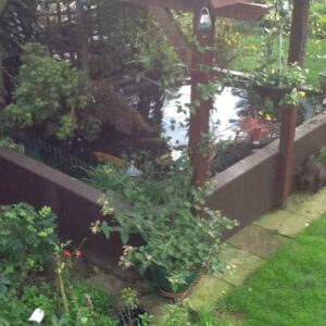 Recycled plastic profiles used to improve quality of domestic pond