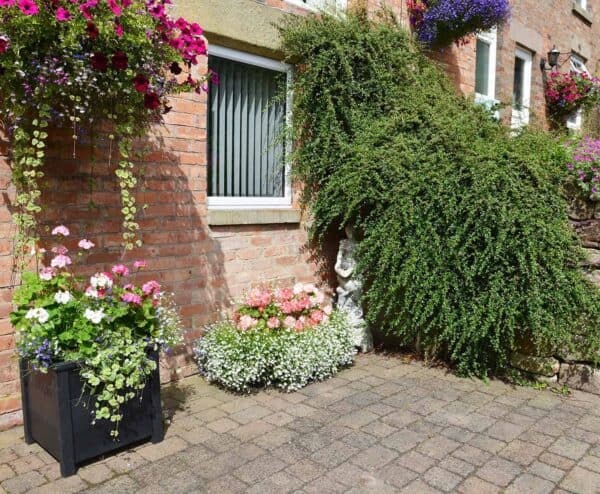 Garden Planter in recycled plastic from TDP of Wirksworth Derbyshire