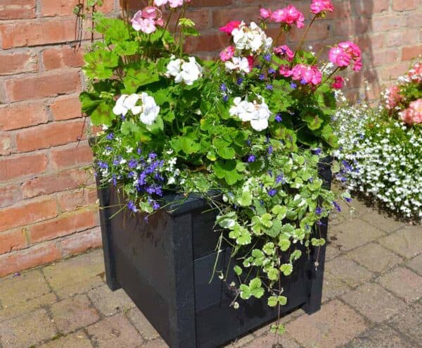 TDP Planter made from recycled plastic in Black 500mm sqaure