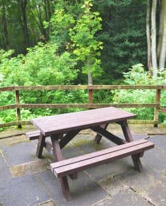 Springbank Brownies 1