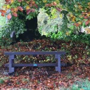 TDP Recycled Trail Bench