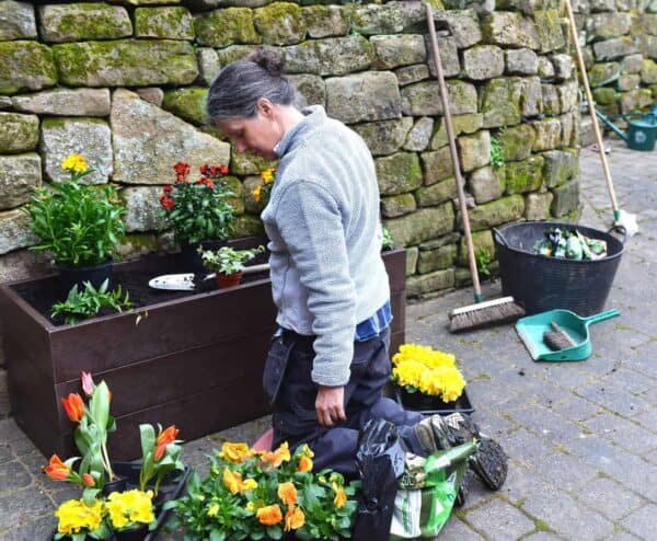 Longwood planter being planted