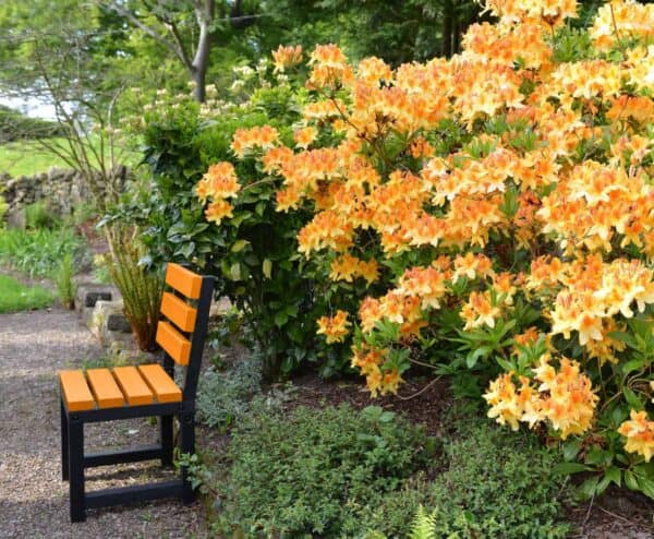 Recycled plastic Cromford Chair in orange