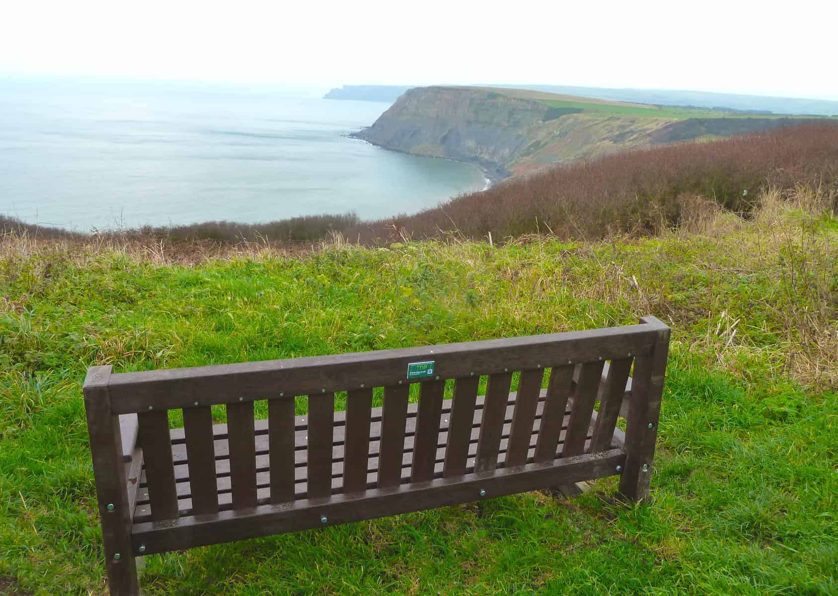 Dale Bench with a view