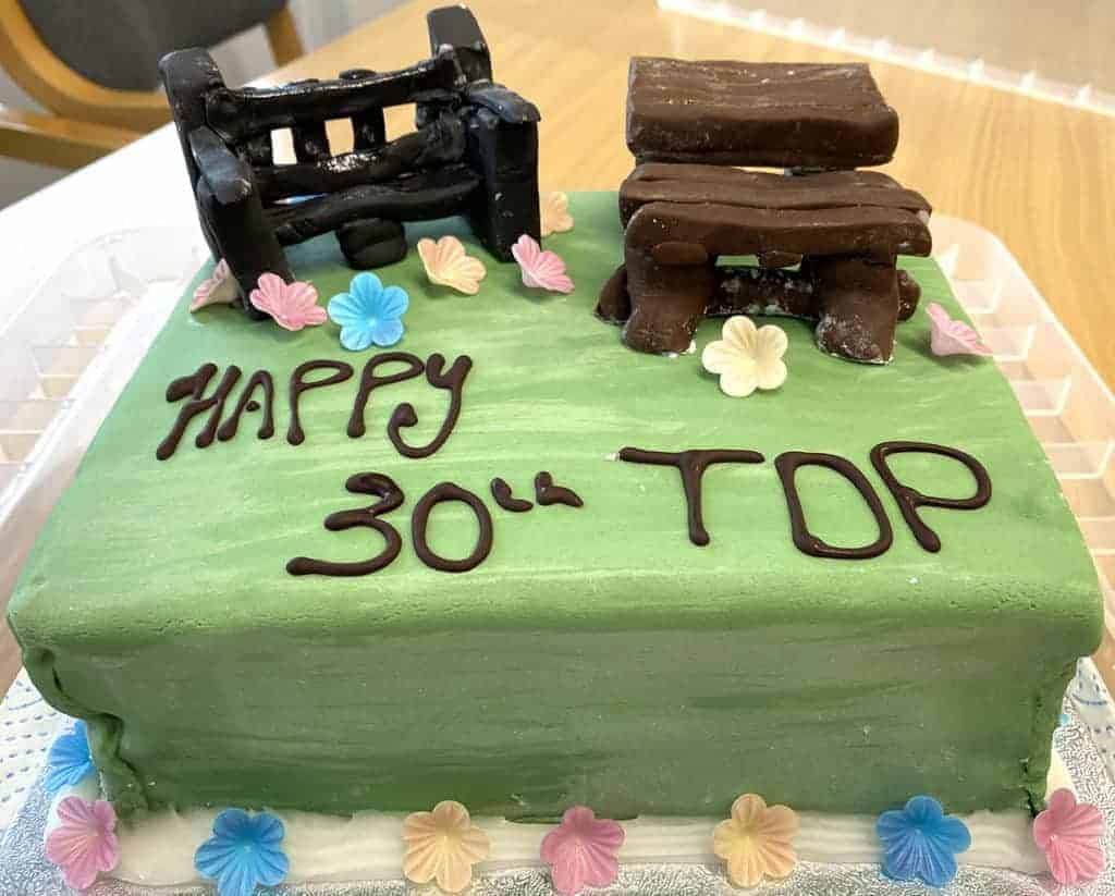 TDP 30 anniversary Cake