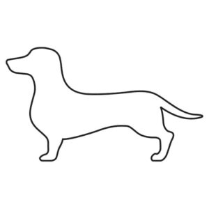 dachshund-RH