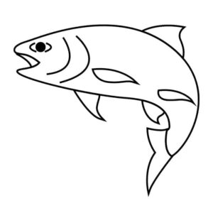 fish-trout-RH