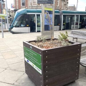 TDP commercial planter in Nottigham City centre 6