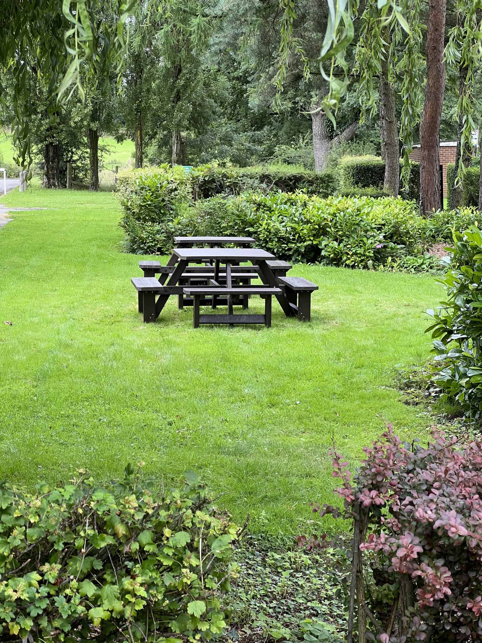 Embrace your outdoor space - TDP