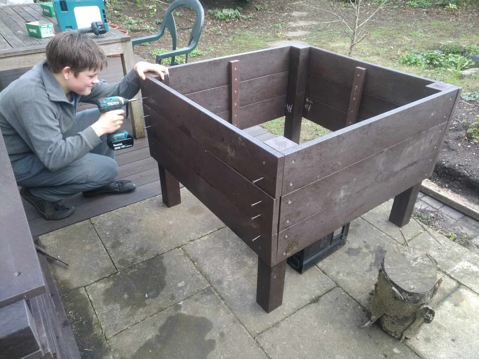 The Phoenix - Image 4