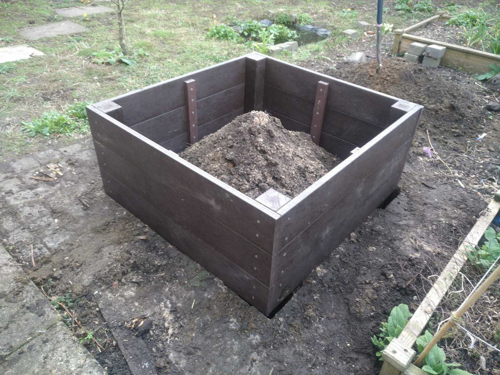 The Phoenix - Image 5