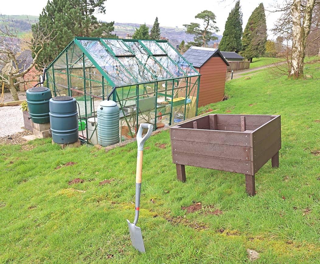 The Phoenix - Image 8