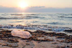 A plastic bottle lies on the beach and pollutes the sea and the life of marine life. The concept of pollution control of the seas and oceans by plastic. Beat Plastic Pollution.