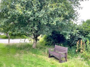 TDP Recycled Plastic Brown Bench 