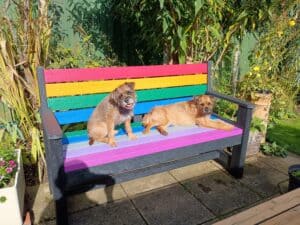 TDP Recycled Wirksworth Seat in colour