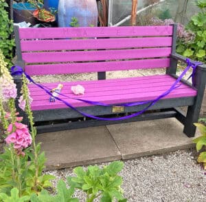TDP Recycled bench in purple