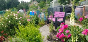 TDP Recycled bench in purple