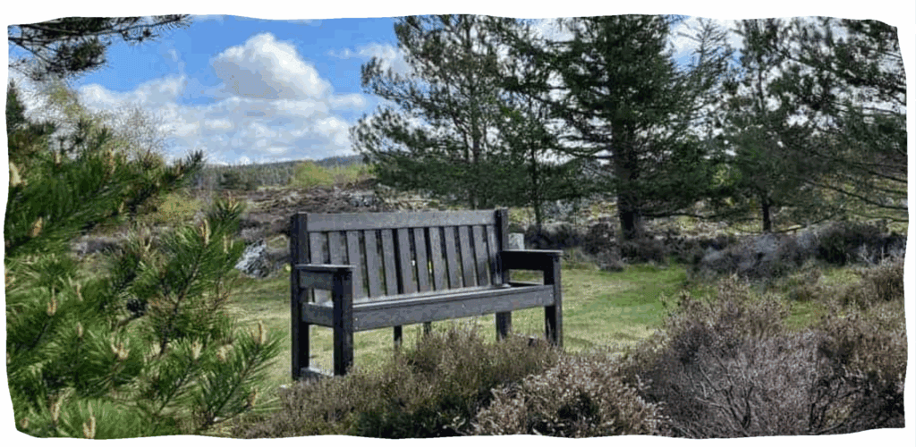 TDP Recycled outdoor bench