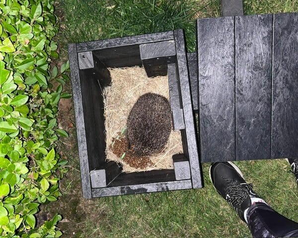 TDP Recycled Hedgehog House