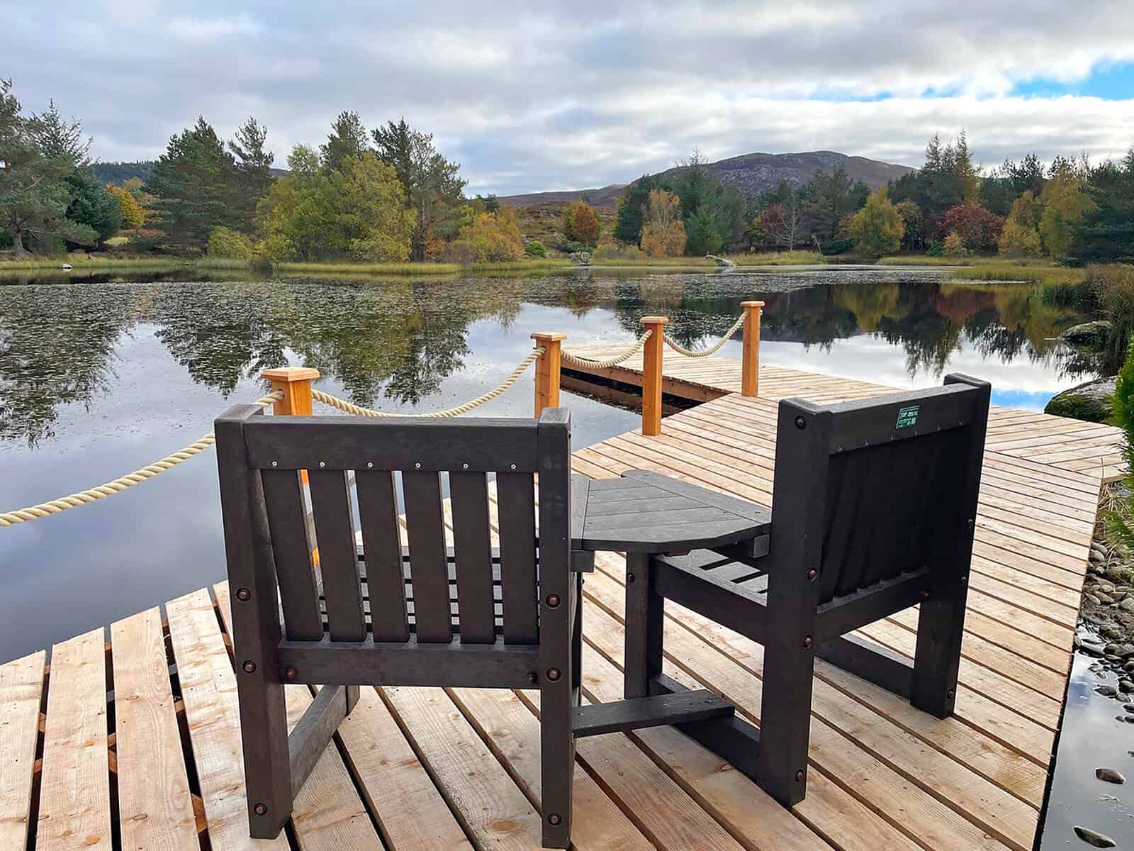 Tea for Two Set - Image 22