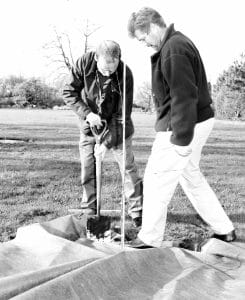 Plantex tree mat at Kew Gardens